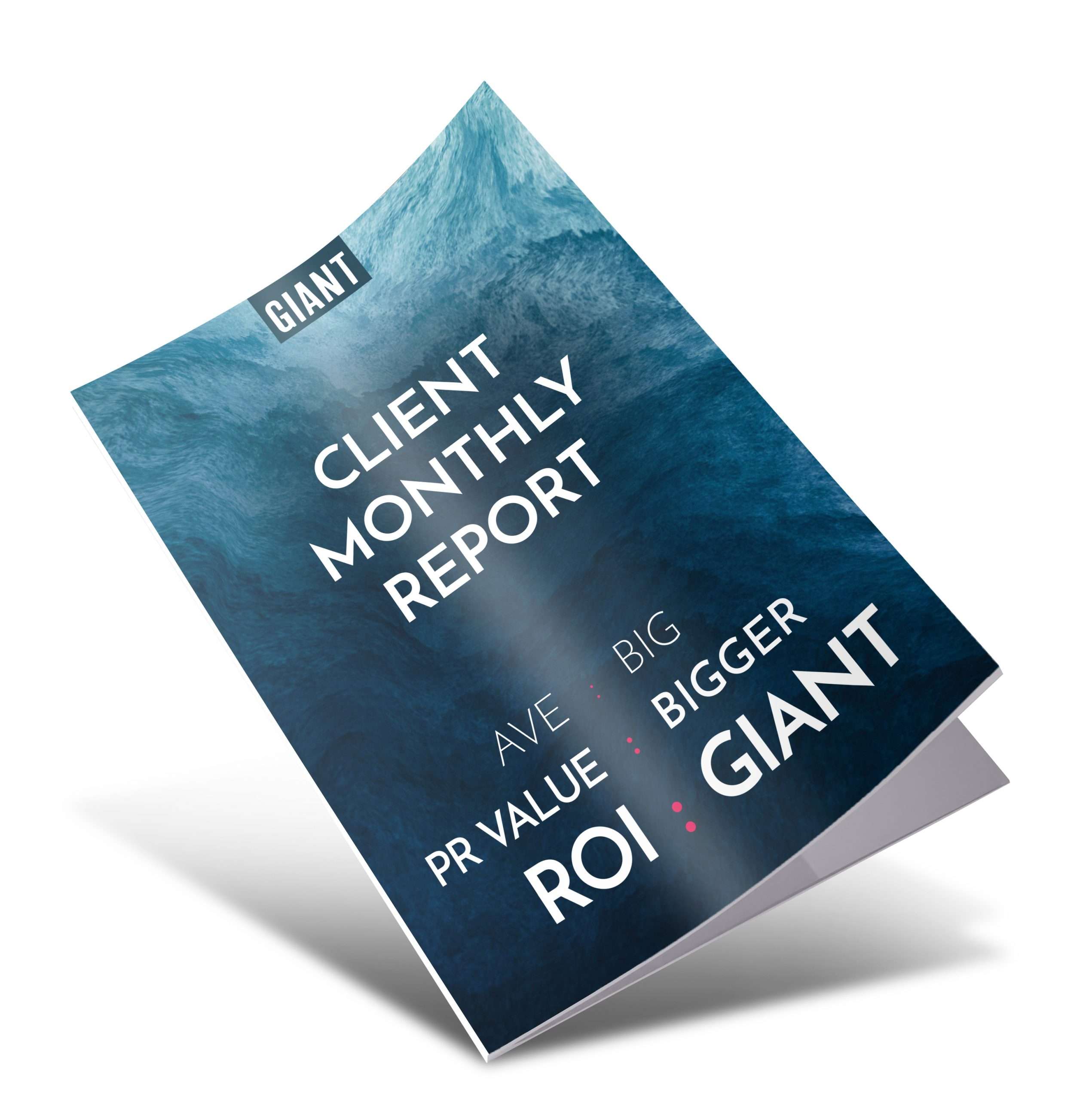 Example of GIANT Client Monthly Report