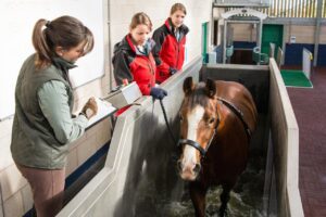 Moulton College instrumental in developing aqua treadmill guidelines