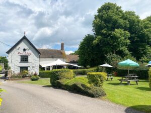 The Red Lion at Brafield-on-the-Green|The Red Lion|The Red Lion|Chicken Roast Red Lion