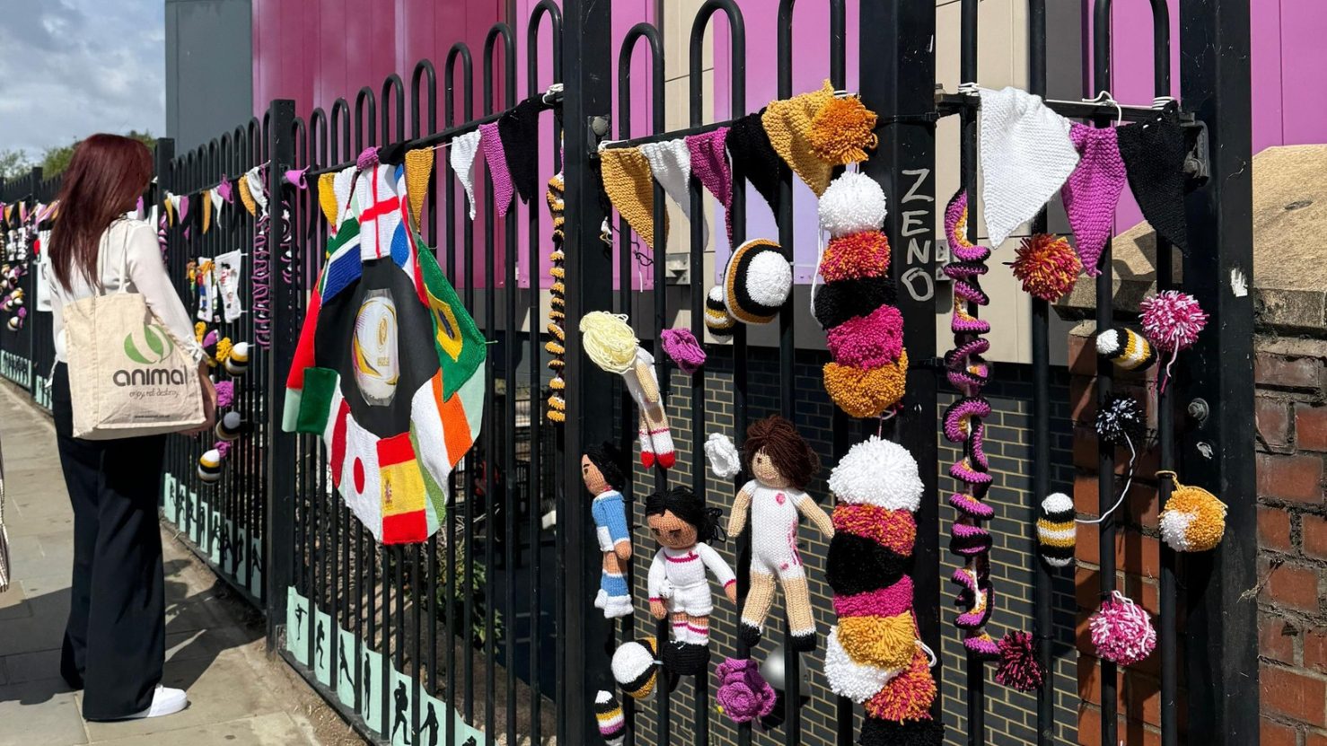 rugby world cup