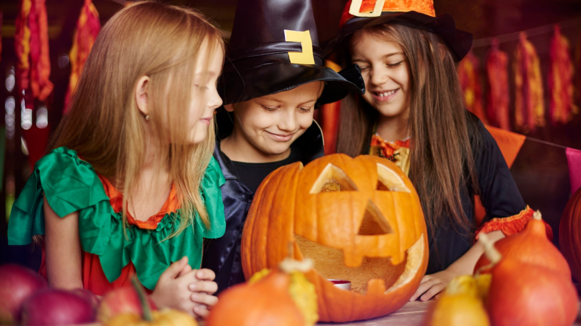 Fang-tastic half term holidays with 10% off at holiday park