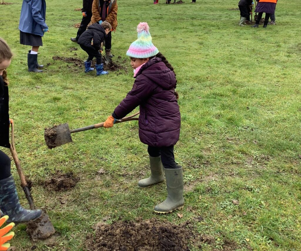 Three new community orchards planted across Milton Keynes