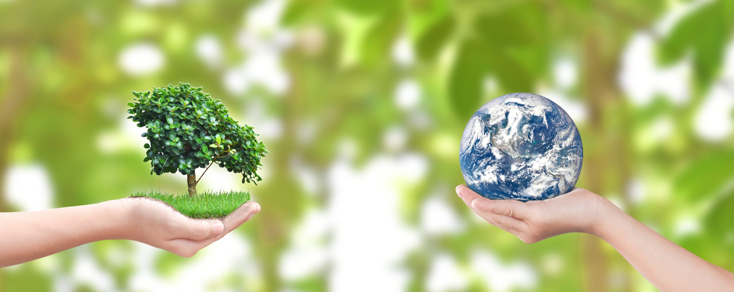 Sustainability – still an issue for directors
