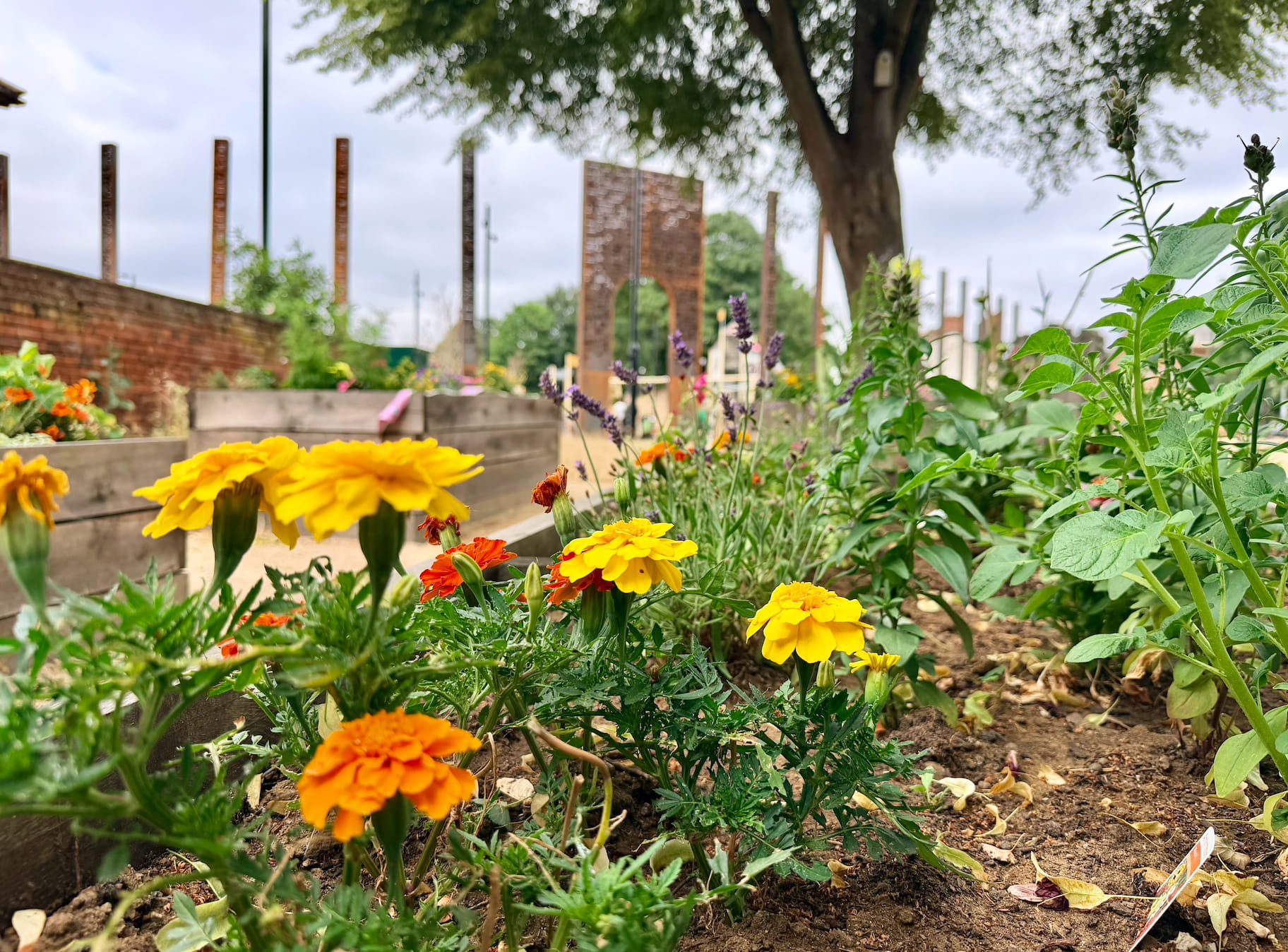 Castle Park planter - Northampton Town Centre BID